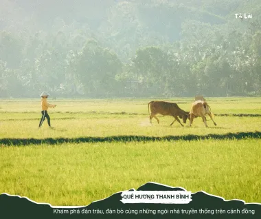 TOUR KHÁM PHÁ RỪNG GIA CANH – THÁC MAI – SUỐI MƠ