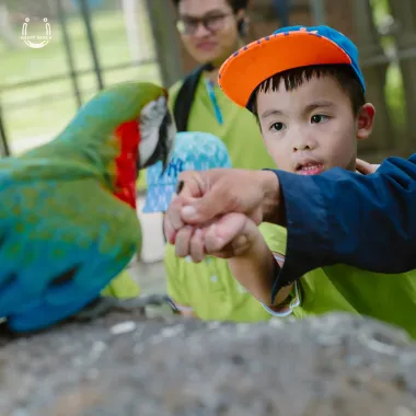 ETour KidCamp – Hành Trình Trưởng Thành Cho Bé Tại Happy Ranch Trị An